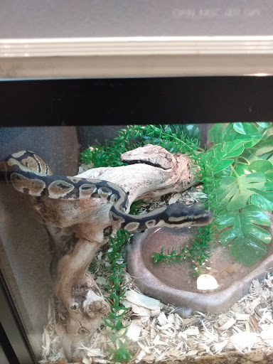 Pet Supply Store «PetSmart», reviews and photos, 1819 NE Pine Island Rd, Cape Coral, FL 33909, USA