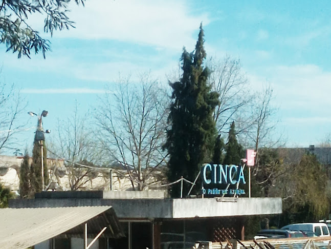 cinca.pt