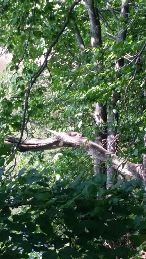 Photo of Frank Borbas Electrical Contractor