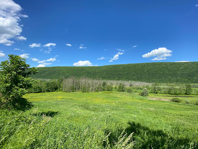 Honeyoye inlet wildlife management area scenic overlook and trailhead