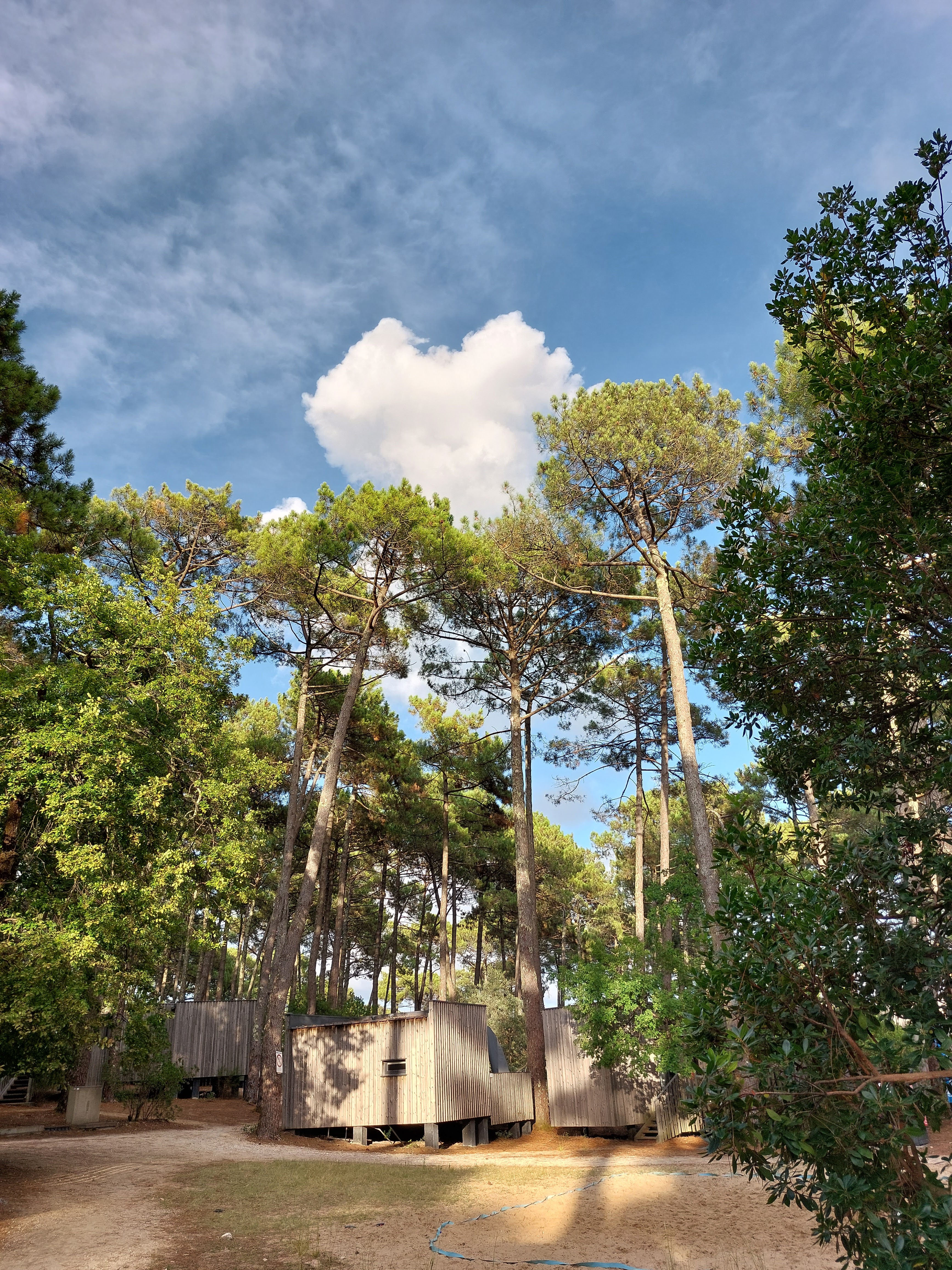 Photo n° 2 de l'avis de Sandrine. fait le 08/08/2023 à 07:55