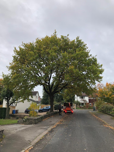 Comments and reviews of Lancashire Tree Surgeons