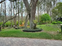 Wade's Tree Service - Car repair in , Lakeland - Rated 4.9/5