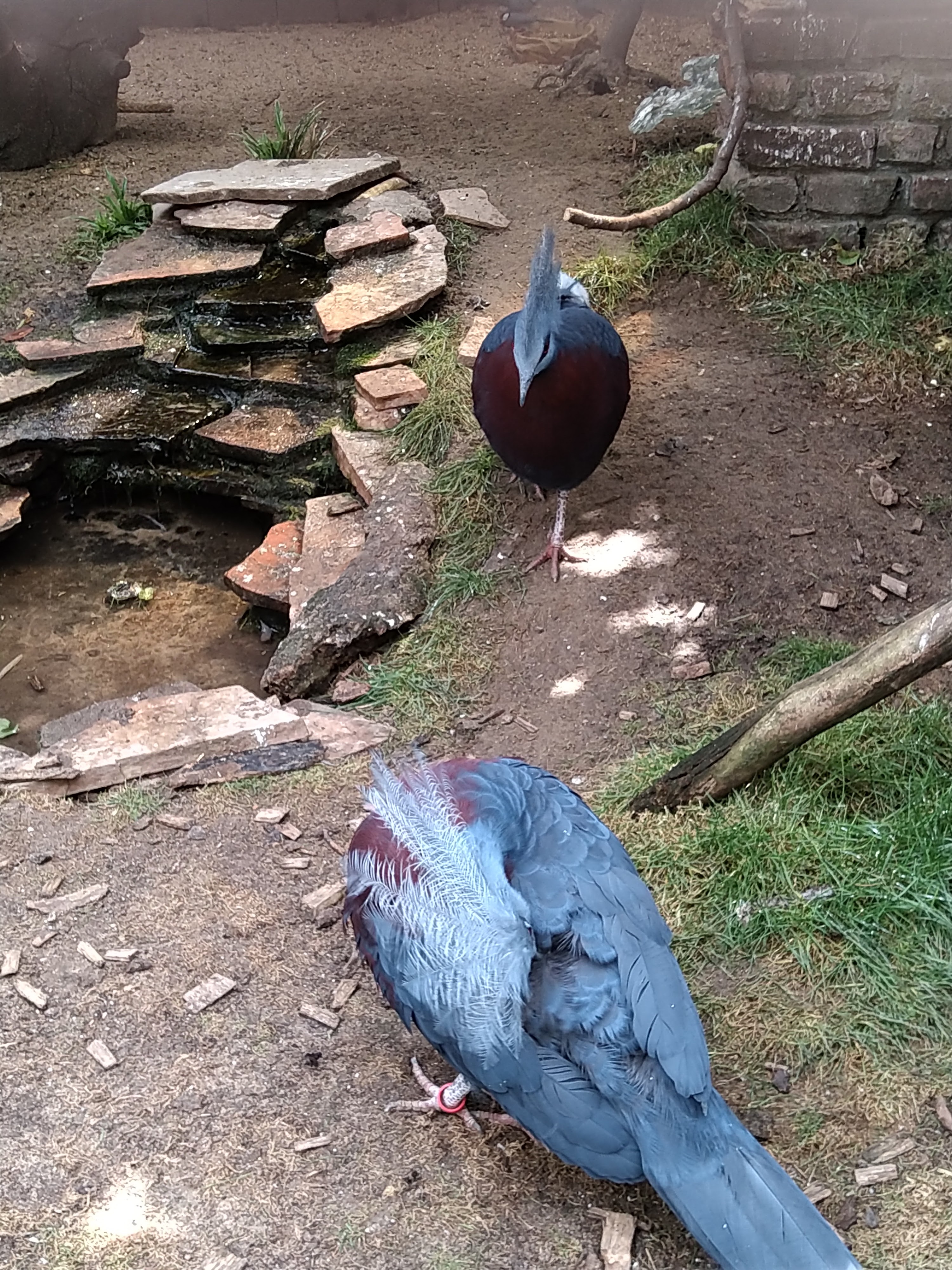 Photo n° 3 de l'avis de HardLoSeDa. fait le 15/08/2019 à 14:36