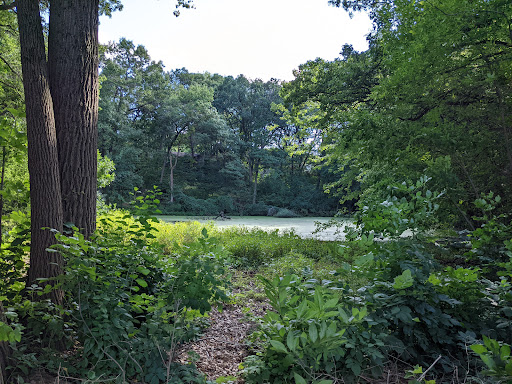 Park «Hansen Park», reviews and photos, 1555 5th St NW, New Brighton, MN 55112, USA