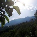 Photo n°9 de l'avis de Sandrine.m fait le 04/07/2019 à 17:15 sur le  Agritur Castel Vasio à Vasio