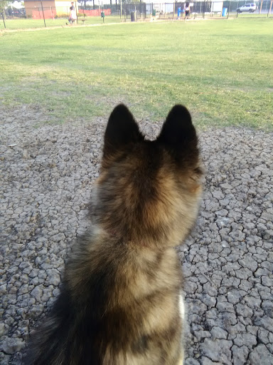 Park «Victor Park», reviews and photos, 1601 S M St, Harlingen, TX 78550, USA