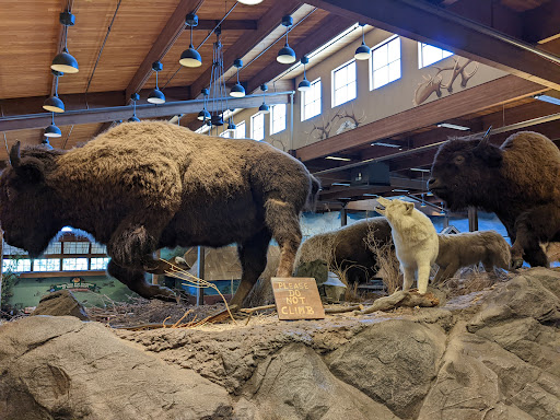 Outdoor Sports Store «Bass Pro Shops», reviews and photos, 7970 Northfield Blvd, Denver, CO 80238, USA