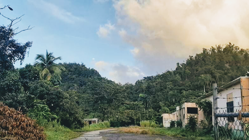 Fábrica El Refugio/ Skatepark De Morovis (RFG Brotherhood 🏡)