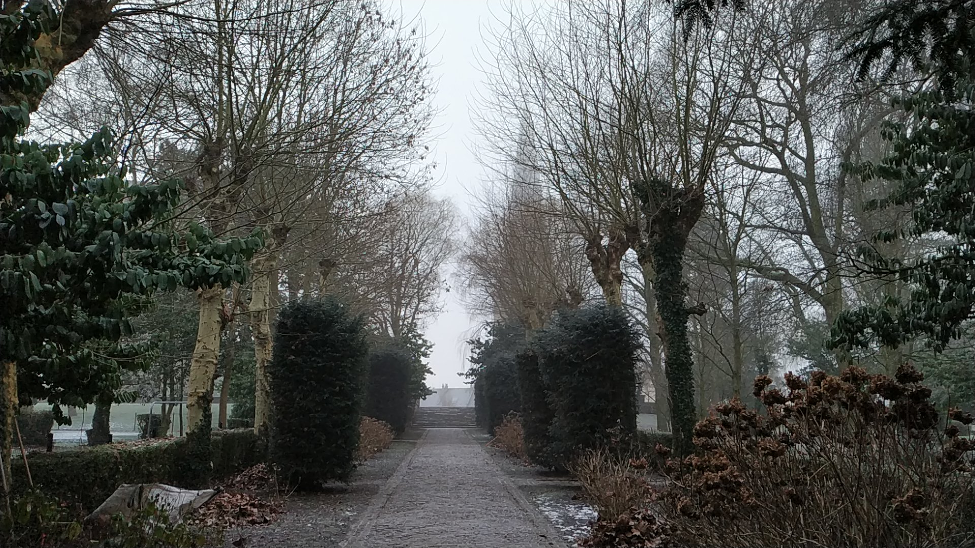 Photo n° 1 de l'avis de Alexis.i fait le 31/01/2019 à 09:13