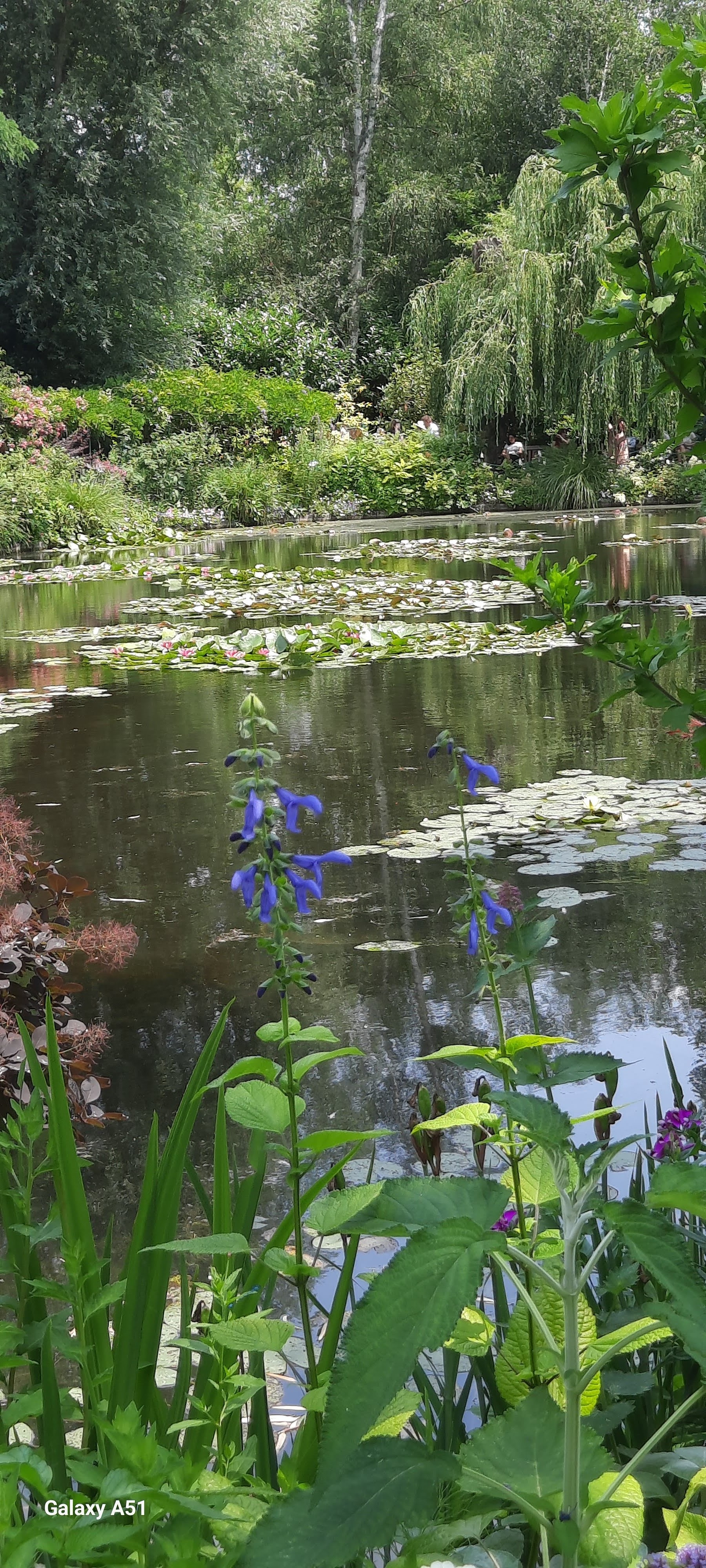 Photo n° 10 de l'avis de Evelyne.o fait le 14/07/2023 à 11:43