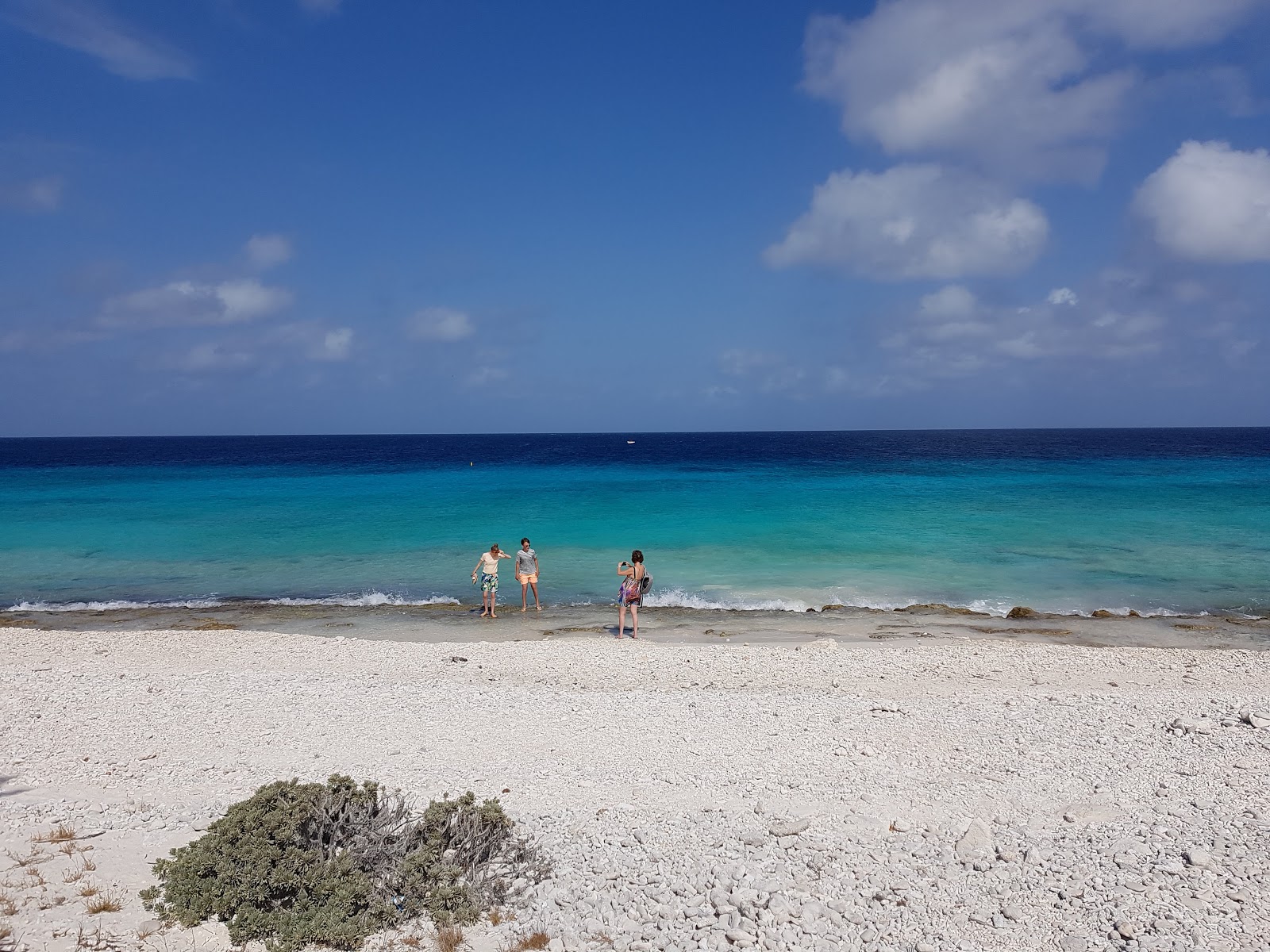 Foto av Pink Beach Bonaire med turkos rent vatten yta