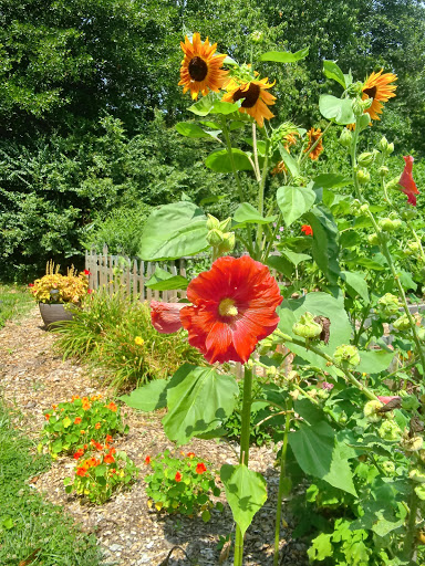 Grocery Store «Good Earth Market & Organic Farm», reviews and photos, 31806 Good Earth Ln, Ocean View, DE 19970, USA