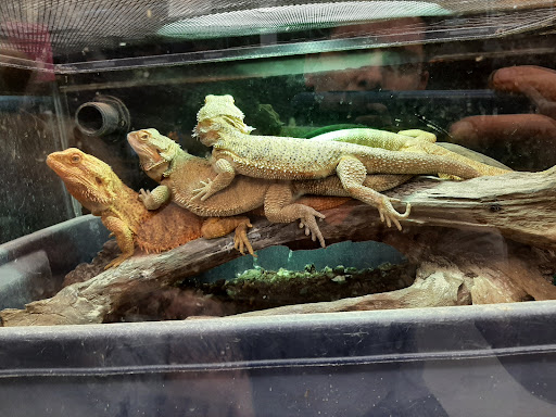 Pet Supply Store «Pet Finatics», reviews and photos, 3150 Navarre Ave, Oregon, OH 43616, USA