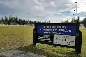 Strawberry Community Fields image