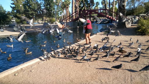 Park «Encanto Park», reviews and photos, 2605 N 15th Ave, Phoenix, AZ 85007, USA