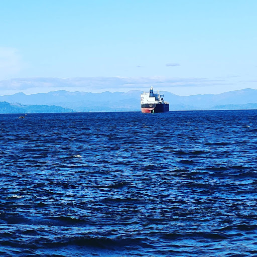 Grocery Store «Grocery Outlet Bargain Market», reviews and photos, 878 Molalla Ave, Oregon City, OR 97045, USA