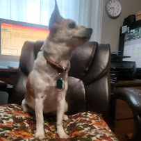 Boesl Packing Co - Photo 5 - Car repair in Baltimore, MD, Baltimore