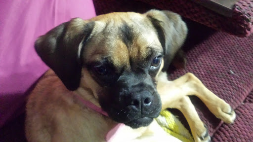 Park «Happy Acres Park», reviews and photos, 11900 7th St NE, Blaine, MN 55434, USA