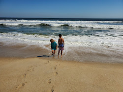 Foto di Sandy Hook Beach ubicato in zona naturale