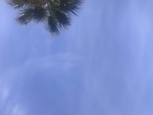 Community Center «Seventh Day Adventist COMM Center», reviews and photos, 1320 N 15th St, Phoenix, AZ 85006, USA