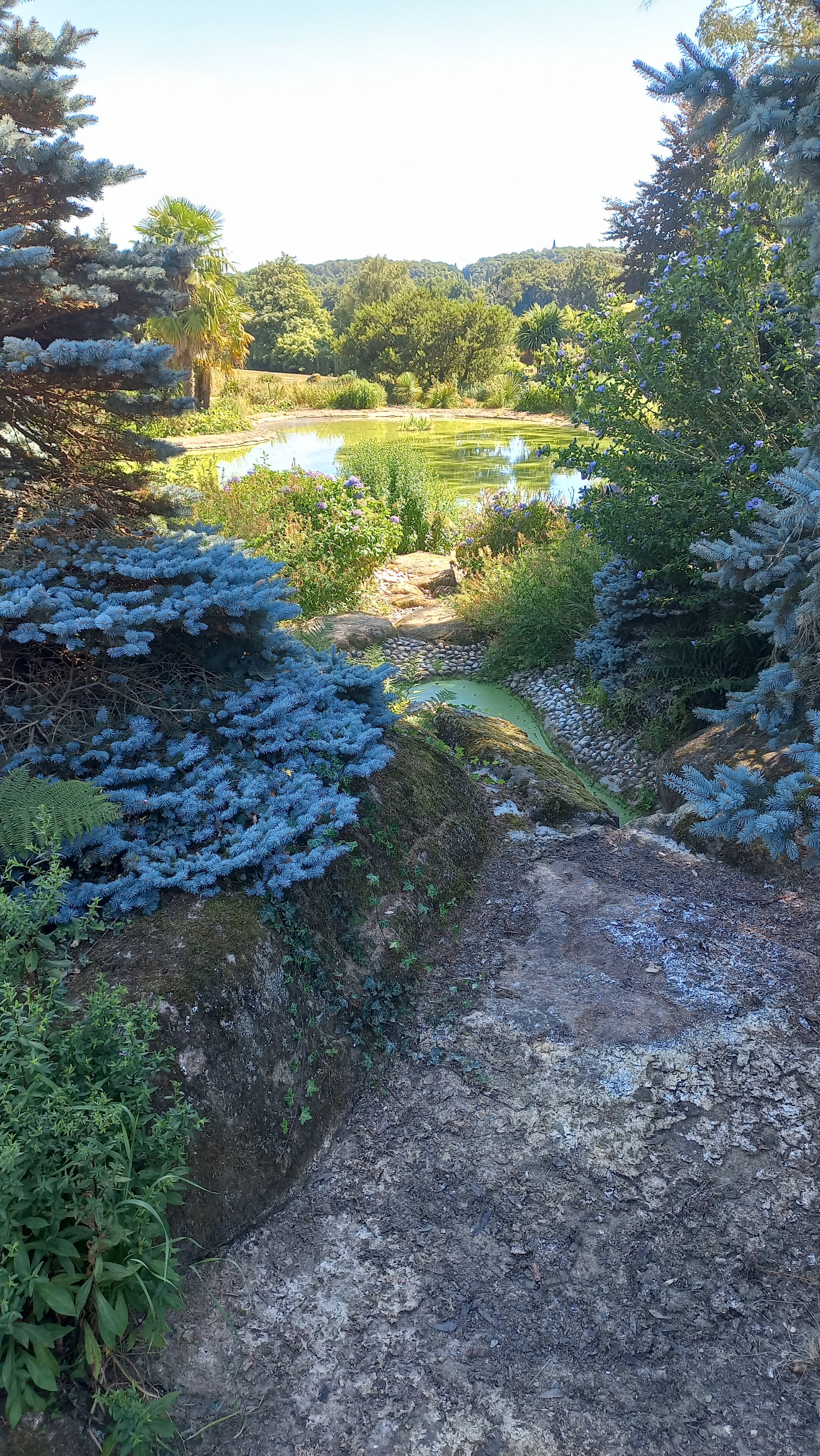 Photo n° 4 de l'avis de Michel.a fait le 07/08/2022 à 15:49