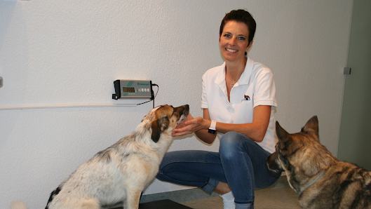 Tierarztpraxis Dr. Sonja Gebhard Zum Steinbock 35, 74889 Sinsheim, Deutschland