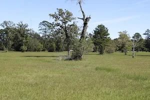 Dog Park at Deussen Park image