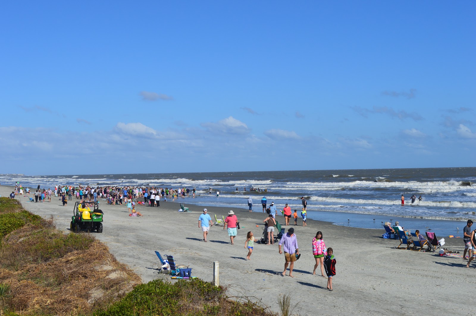 Isle of Palms beach'in fotoğrafı - tatil için iyi evcil hayvan dostu nokta