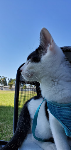 Pet Supply Store «Petco Animal Supplies», reviews and photos, 430 N Euclid St, Anaheim, CA 92801, USA