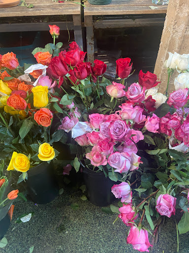 Florist «Brattle Square Florist», reviews and photos, 31 Brattle St, Cambridge, MA 02138, USA