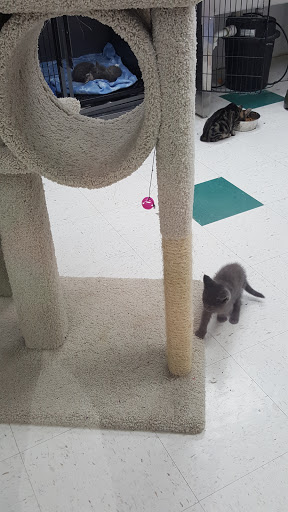 Pet Supply Store «Pet Depot», reviews and photos, 14236 US-431, Guntersville, AL 35976, USA