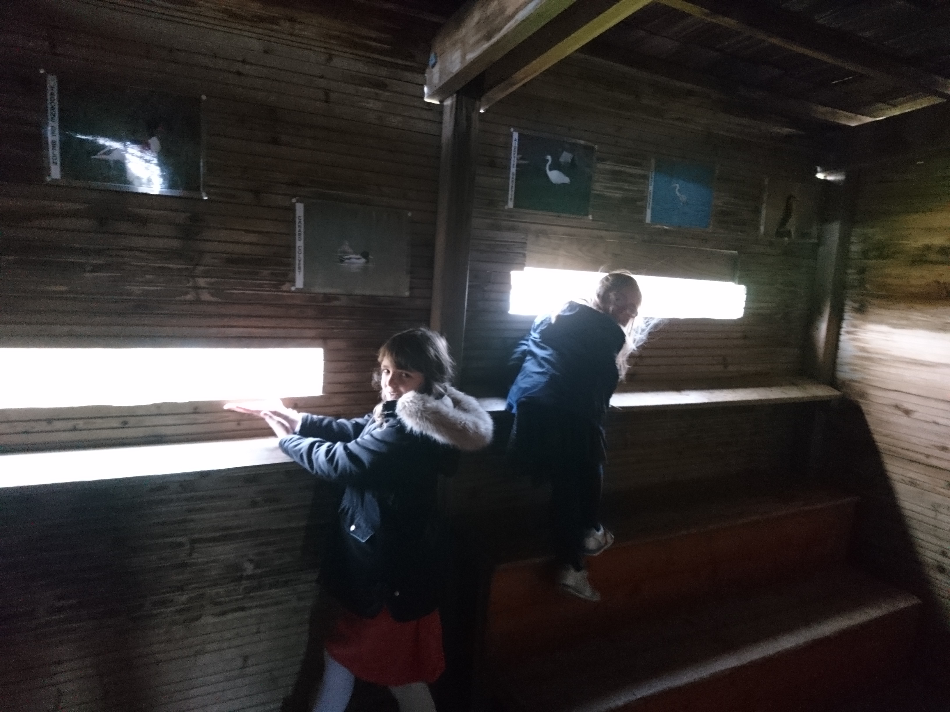 Photo n° 1 de l'avis de Dan.o fait le 13/02/2020 à 14:05