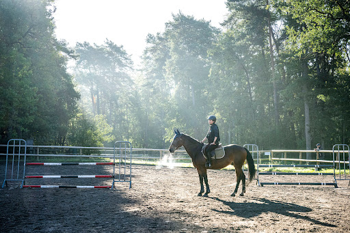 Centre équestre Arbonne Riding à Arbonne-la-Forêt, Seine-et-Marne