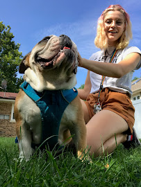 Prairie Path Pet Care - Park Ridge - Photo 3 - Car repair in , Chicago