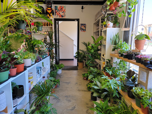 Toy Store «Zonkey», reviews and photos, 161 Jackson St, San Jose, CA 95112, USA