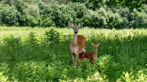 Golf Club «Bonnie Dundee Golf Club», reviews and photos, 270 N John F.Kennedy Dr, Carpentersville, IL 60110, USA