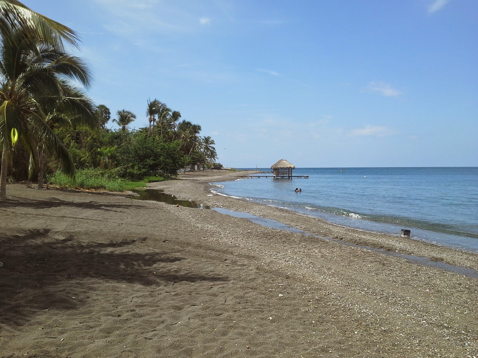 Fotografija Palmar de Ocoa beach z siv pesek površino