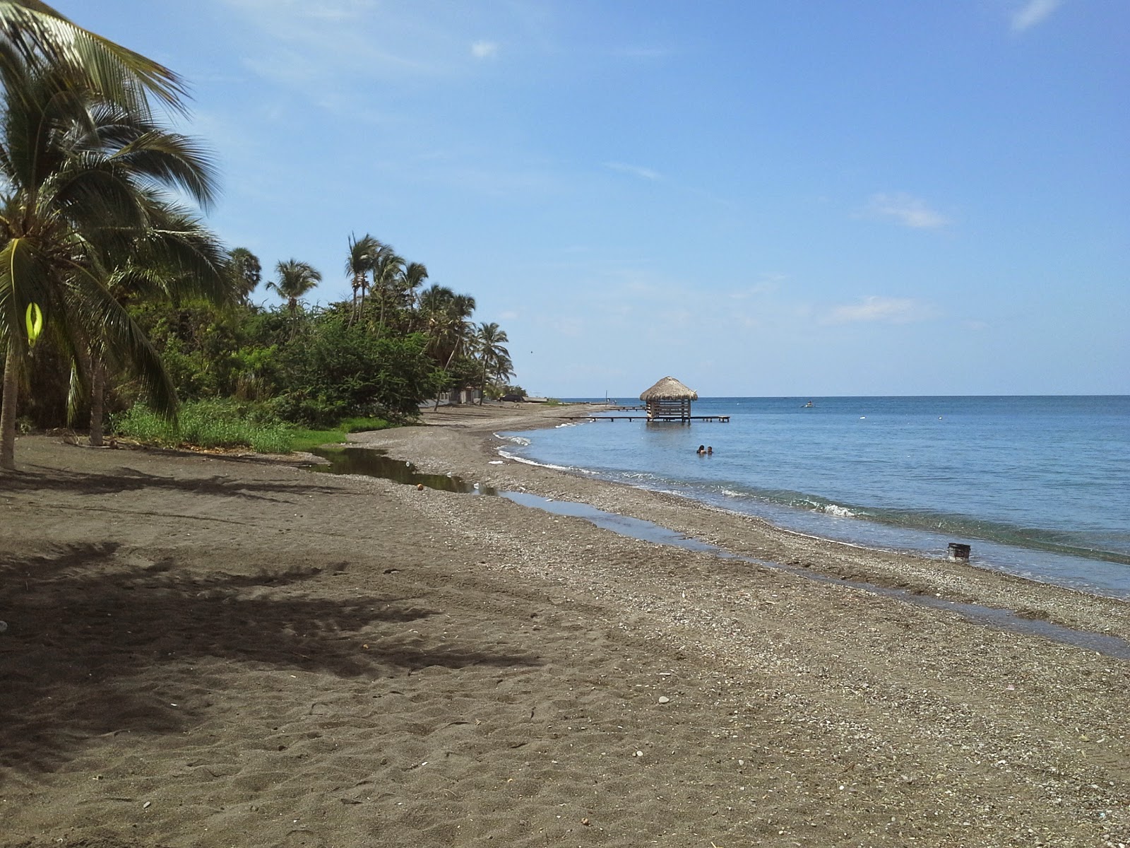 Zdjęcie Palmar de Ocoa beach z powierzchnią szary piasek