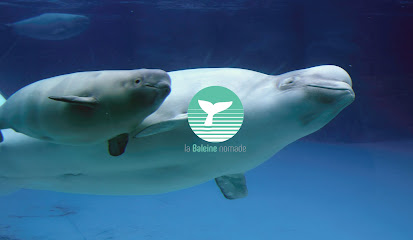 La Baleine Nomade