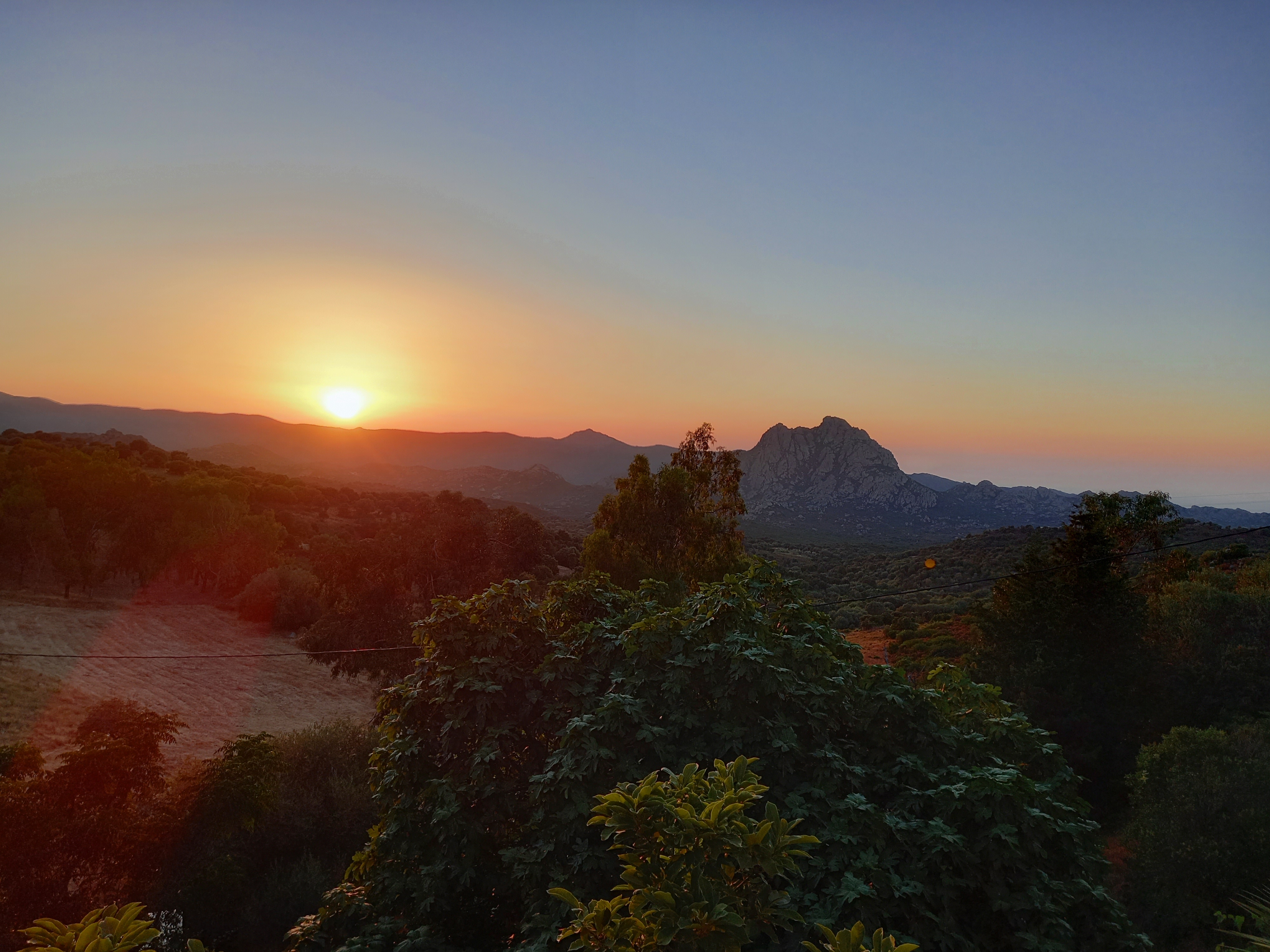 Photo n° 5 de l'avis de Carlo.a fait le 20/06/2022 à 21:26