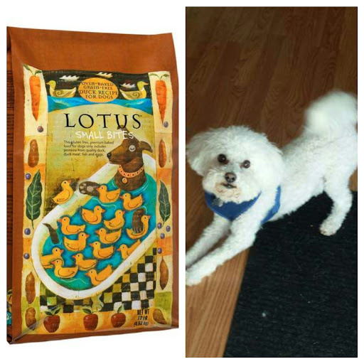 Pet Supply Store «Paws and Claws Pet Food», reviews and photos, 654 Wolcott Rd, Wolcott, CT 06716, USA