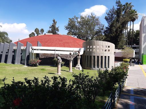 Universidades de psicologia en Guadalajara