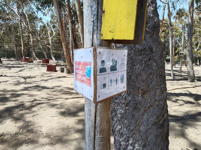 Opiniones de Camping el bosque en Los Vilos - Camping