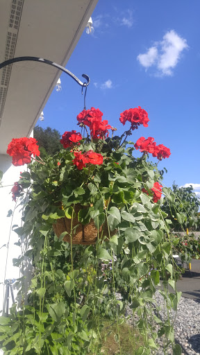 Florist «Petals & Paws», reviews and photos, 465 Albany Turnpike, Canton, CT 06019, USA