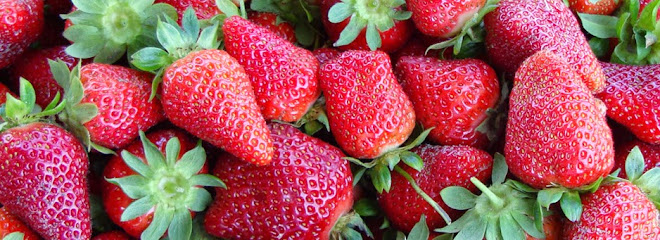 Strawberries On 903