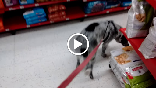 Pet Supply Store «Petco Animal Supplies», reviews and photos, 3165 Alpine Ave NW g, Walker, MI 49544, USA