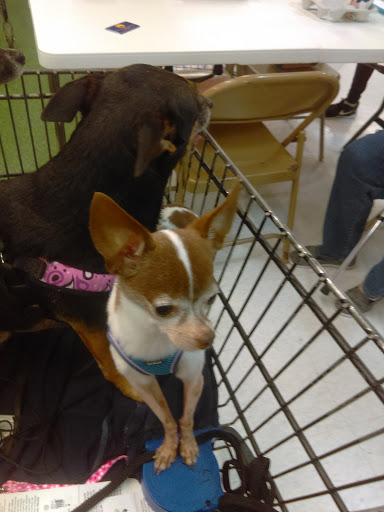 Pet Supply Store «Petco Animal Supplies», reviews and photos, 2353 SE Federal Hwy, Stuart, FL 34994, USA