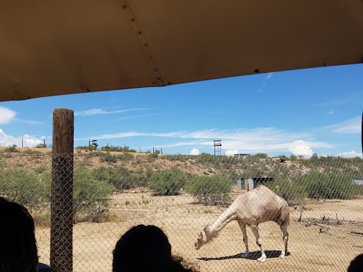 Zoo «Out of Africa Wildlife Park», reviews and photos, 3505 AZ-260, Camp Verde, AZ 86322, USA