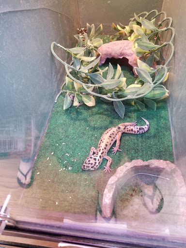 Pet Supply Store «Pet Valu», reviews and photos, 200 Biggs Blvd, Harrison, OH 45030, USA